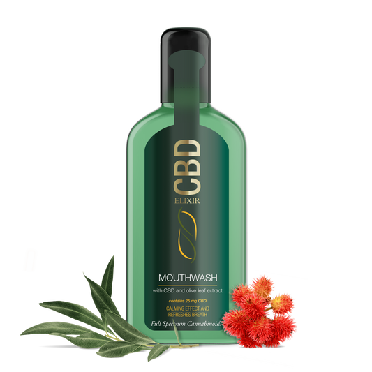 CBD ELIXIR Enguaje Bucal 250ml