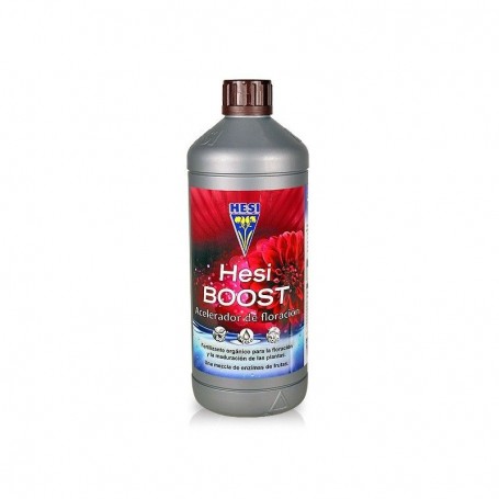 HESI BOOST